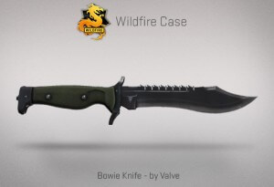 Bowie-Knife-300x205