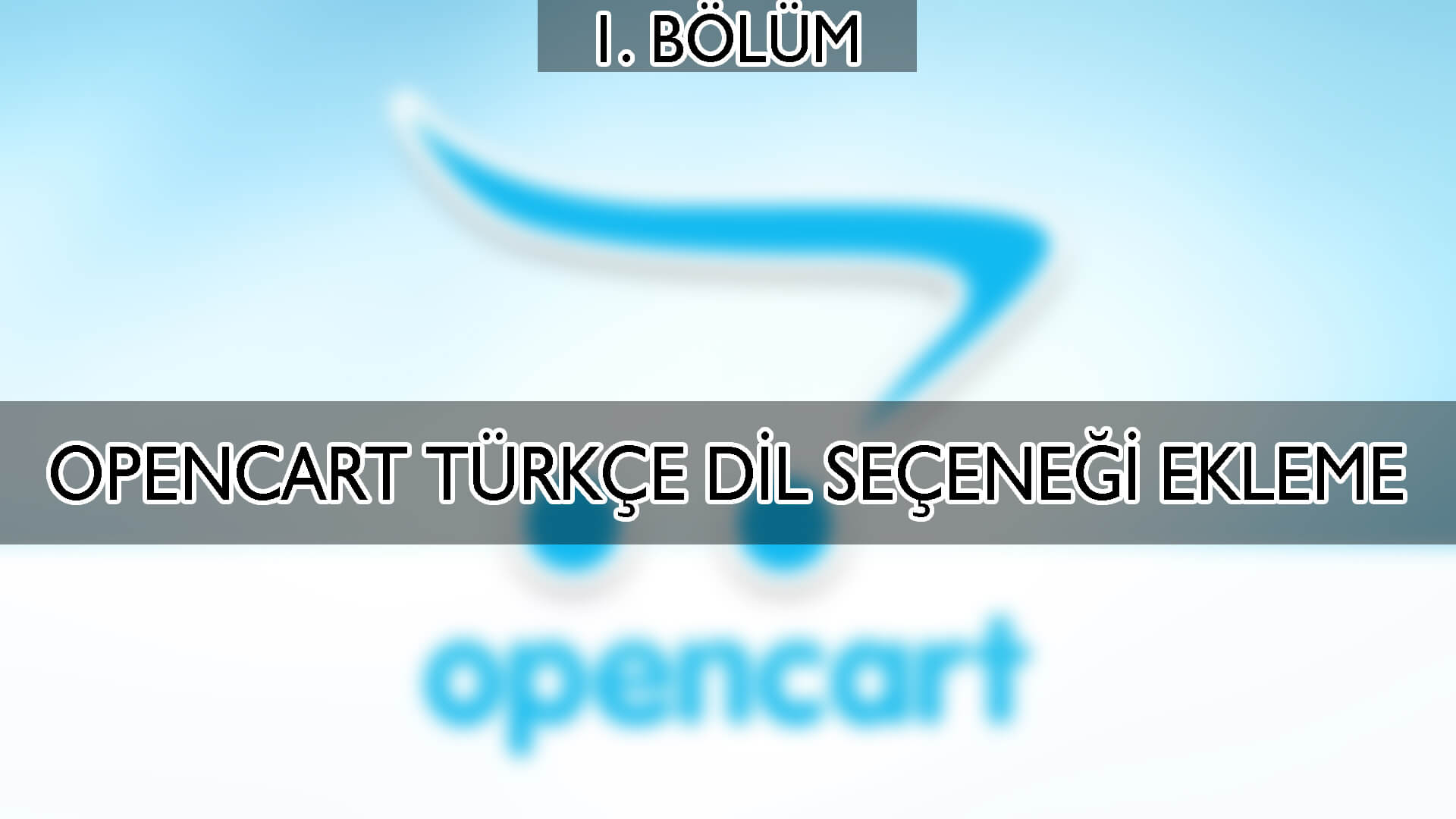 Opencart Türkçe Dil Seçeneği Nasıl Eklenir ?
