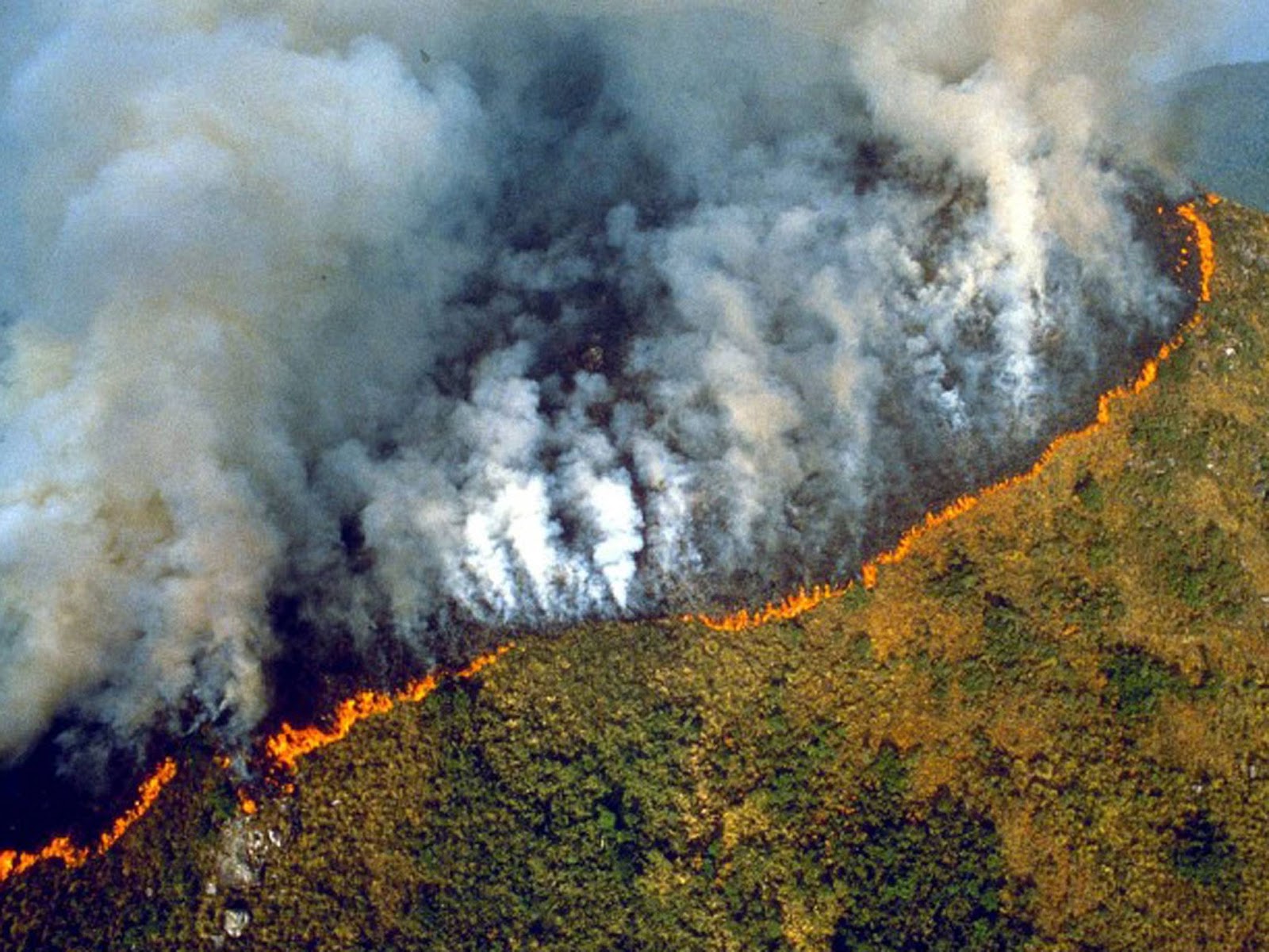 Dünya’nın Ciğeri Yanıyor! Amazon Ormanları Kül Oldu!