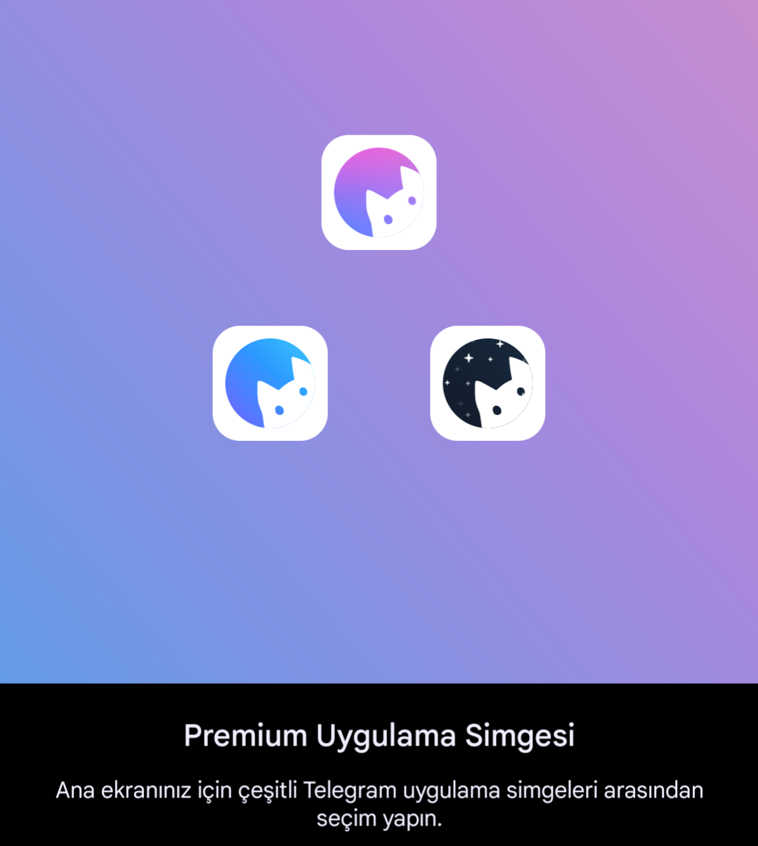 Telegram Premium, Premium Uygulama İkonları